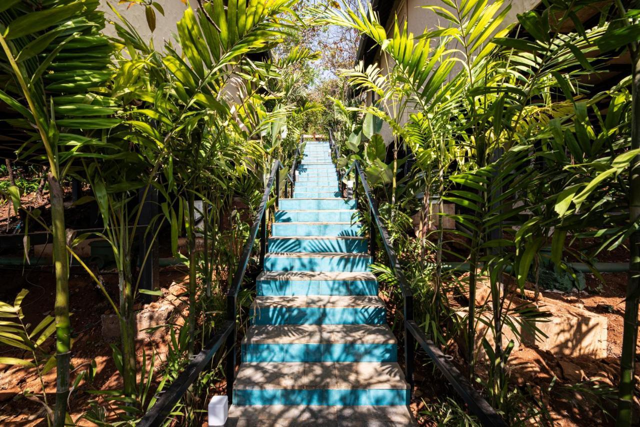 Hotel Canary Islands &